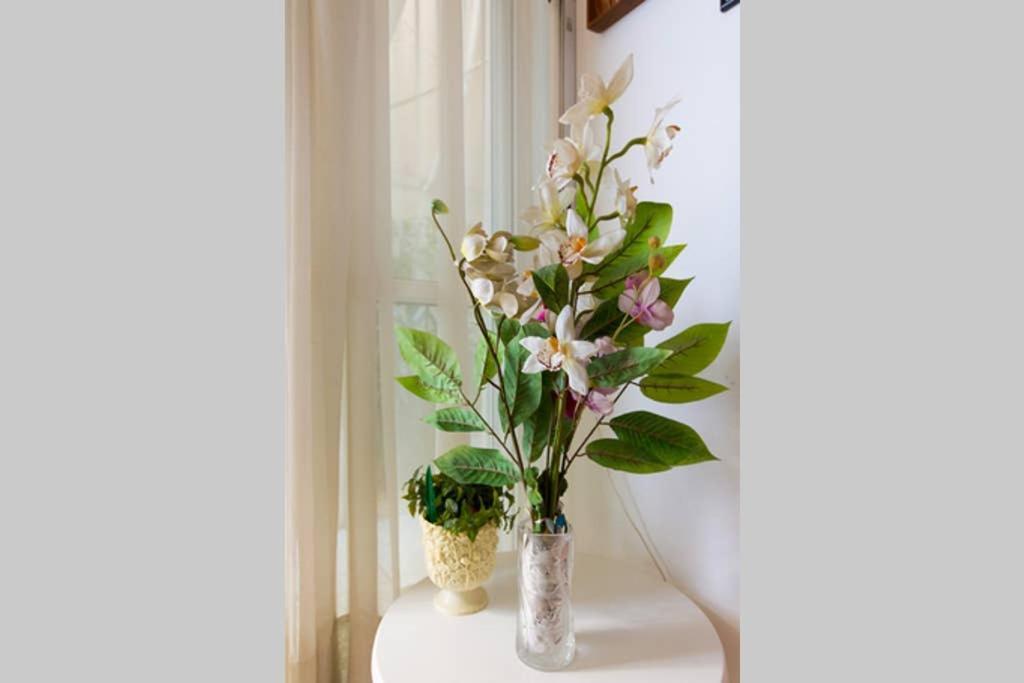 Vintage Style Apartment With Beautiful Backyard Ateny Zewnętrze zdjęcie